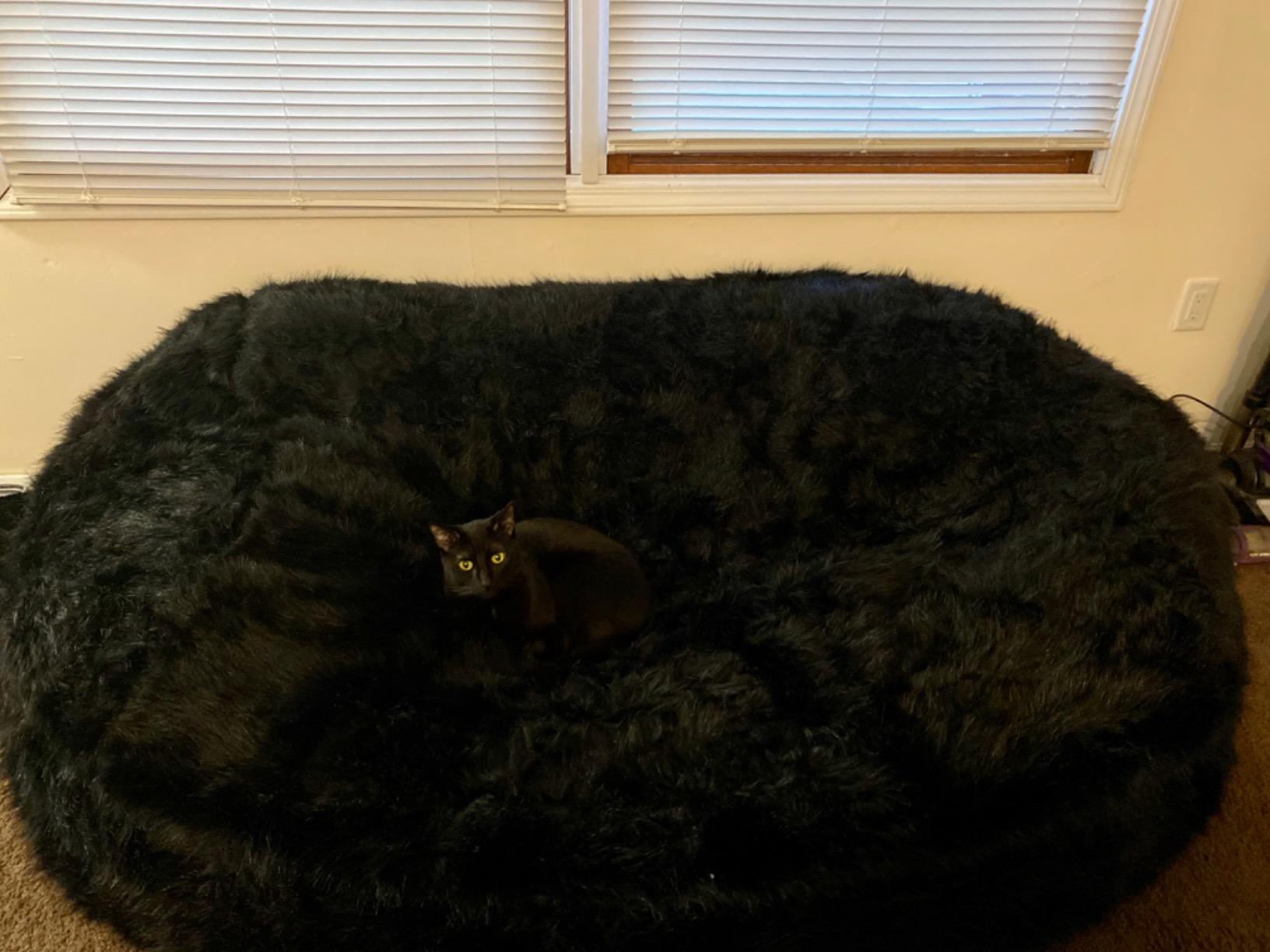 【Furniture】Comfy Sacks Memory Foam Bean Bag Chair