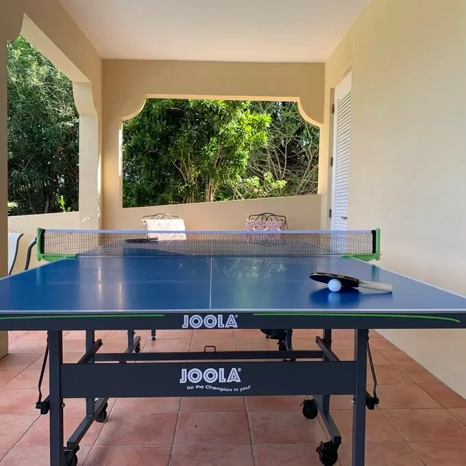 OUTDOOR TABLE TENNIS TABLE NOVA - FOLDABLE OUTDOOR TABLE TENNIS TABLE FOR OUTDOOR AND INDOOR USE - WATERPROOF ALUMINUM SURFACE WITH WEATHERPROOF TABLE TENNIS NET AND POSTS-S