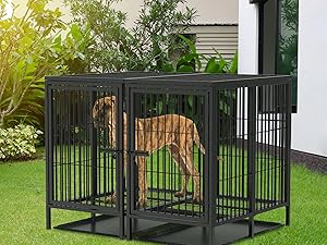 Buy the matching waterproof cover in our shop that protects your dog from rain and wind