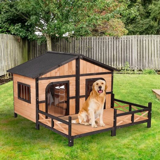 Campa Wooden Dog House
