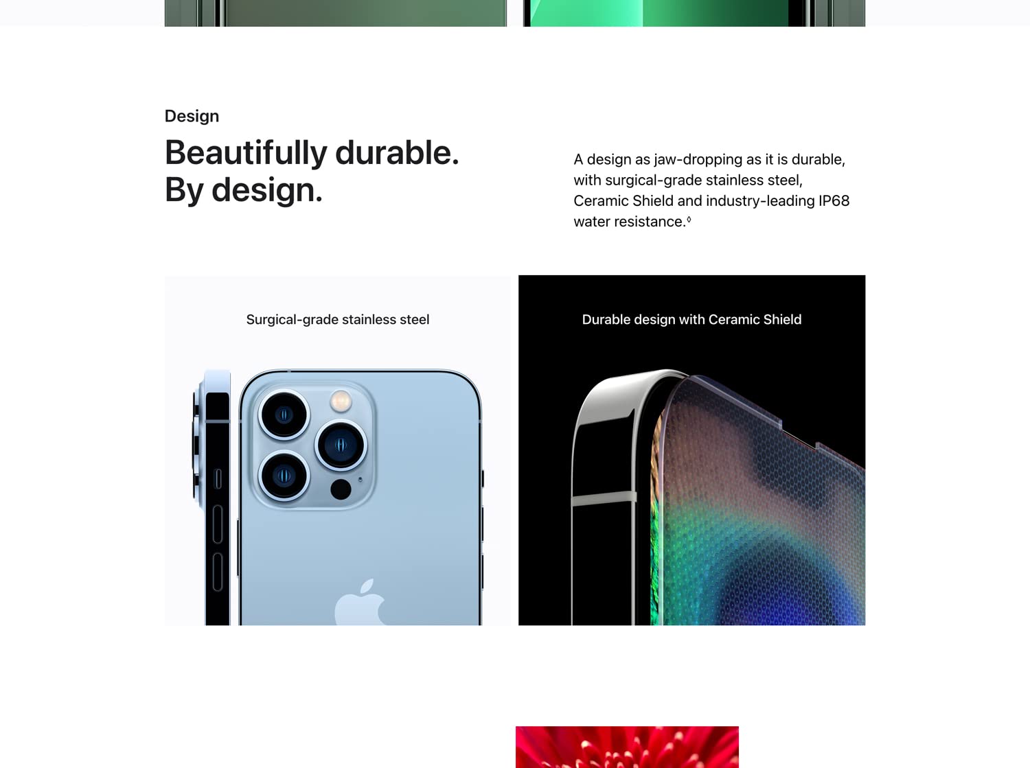 iphone11
